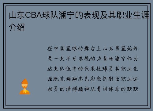 山东CBA球队潘宁的表现及其职业生涯介绍
